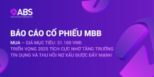 MBB-report-full-190625