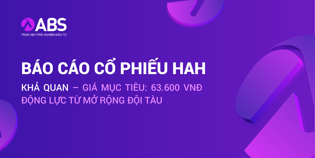 báo cáo cổ phiếu HAH